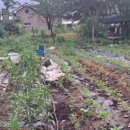 은지가든 이미지