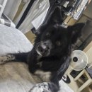 황실십자수 | 돈 멋 명예 Love and what?