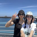 대저파출소 | 7월 울릉도 뚜벅이 여행/가는법/배편 예약 일정/선창선착장 스노쿨링/저동항 맛집/대중교통/샤워실...