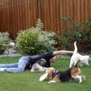 강아지와 고양이 이미지