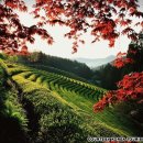 (주)창조종합건축사사무소 이미지