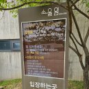 식물원앞까페 | 파주 식물원 카페 소울원 후기｜소금빵 맛집에서 정원 산책까지 힐링 데이트