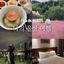 내 집의 분경 | 나의 울산여행 총정리 1 -코스추천, ktx 도착,롯데시티호텔,울산중앙전통시장,야경시티뷰