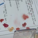 학산빌딩 | 강남퍼스널컬러 진단 후기 — 신논현 퍼스널컬러 ‘컬러모아’에서 나만의 색을 찾다! 🎨✨