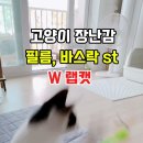랩캣