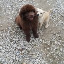 다모아농장 이미지