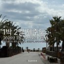 온리김치찌개 | 3월 제주 일상, 1박 2일 제주도 히든클리프 제주, 맛있수다, 원앤온리, 숨비소리횟집