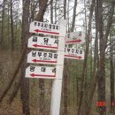 남부 부부시비 이미지