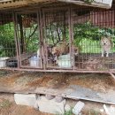 예산건강원 - 동구 동서대로1692번길 33-6 | 예산건강원