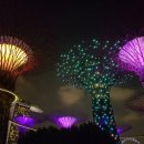 리버트리 이미지