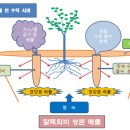 부산광역시 남구청 이미지