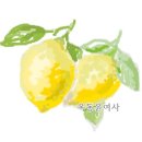 31140-8-17-2 이미지