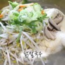 수원칼국수 - 수원시 영통구 태장로 81 | 수원칼국수