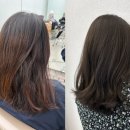 단이 헤어 이미지