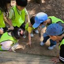 그림나라유치원 이미지