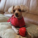 광교산동물병원 이미지