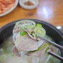 본가설렁탕 | [석촌호수] 석촌호수 벚꽃 개화 상태 및 본가설렁탕 후기