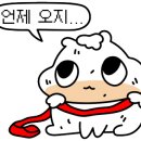 민지네 이미지