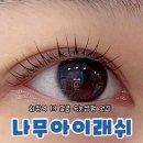 고양 화정역 속눈썹펌 맛집 나무아이래쉬 솔직후기