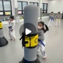 바른선태권도 이미지