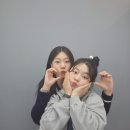 오랫만에 일상 어디붙어 써야 돼지 🐷