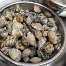 삼남매바지락칼국수 이미지