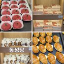 동성당 | 대구 동성로 베이커리카페 빵집순례 필수코스 동성당 방문후기