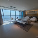 웨스트 펫(West Pet) | [시흥 거북섬] 웨이브엠 호텔 웨스트 vs 이스트 어디가 더 좋을까? 비교 리뷰