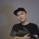 대쉬 이미지