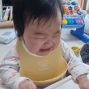 <b>아토</b>일기, 5개월아기 이유식 시작 ~190일 기록 6개월 접종(접종열..)