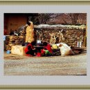 낙안풍경 이미지