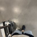 말레이시아 쿠알라룸푸르 여행(1,2)_미드밸리 메가몰 맛집 오리엔탈 코피, 야오야오(llao llao)/그랩...