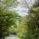 월명실내수영장 | 제주 동쪽 숙소 에코랜드 호텔 슈페리어 킹룸 수영장
