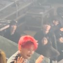 케키럽