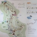 107회 (9월13일 토요일)버스도보는 경북 영양 죽파리 자작 나무 숲으로 갑니다. 이미지