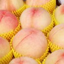 햇살청과 - 청주시 서원구 청남로 2107-2 | 햇살청과