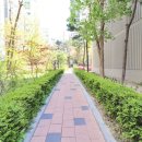 국화동성 이미지