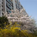 극동아파트 이미지