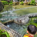 발리 파드마 리조트 우붓 산책 - 물고기 먹이주기, 애니멀 가든, 밤부 네스트 &amp; 포레스트 산책