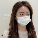 로그먼트