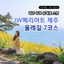 댄싱빈스 | 제주 올레길 유채꽃 스팟 JW메리어트 제주
