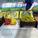 미래로농장 이미지