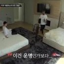 딱스 이미지