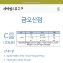 세이셸스튜디오 네이버블로그