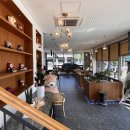 카페테디(CAFE Teddy) 이미지