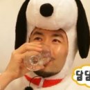 프롬코코 이미지