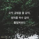 아모스의 모든것