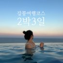 감자바우 민박 | 강릉 여행코스 2박3일 커플여행은 이렇게만! 1편…강릉중앙시장, 꾸옥, 스카이베이호텔 경포, 엔드투앤드
