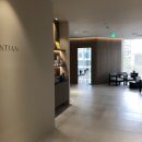 안티안의원 이미지