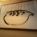 금수복국 동래점 이미지